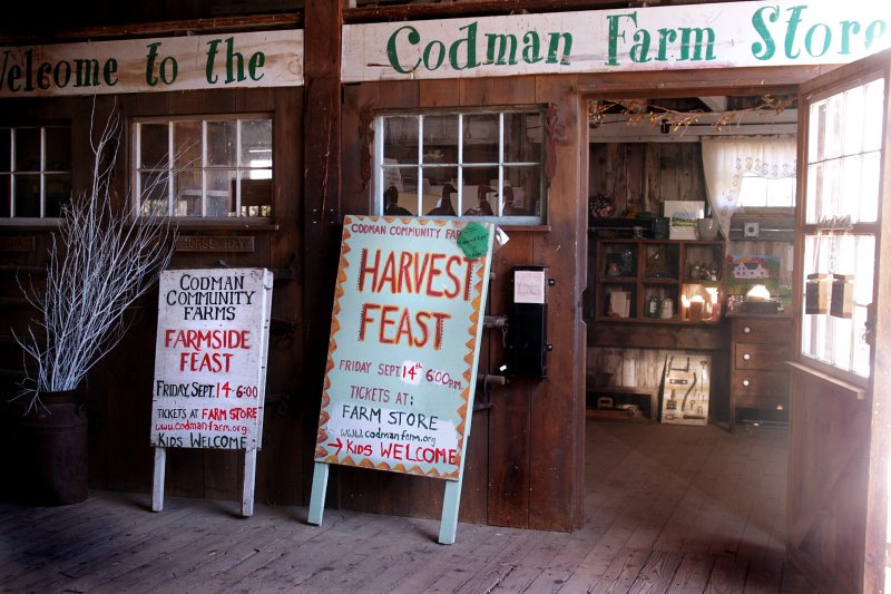 Codman Farms
