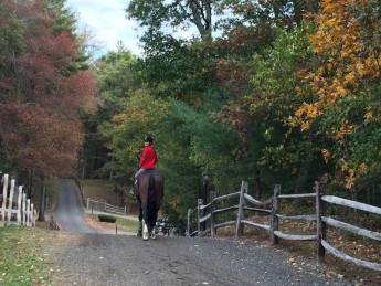 A fall ride