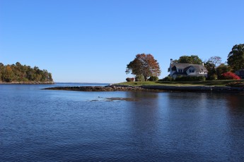 IMG_5518