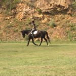 Riding in the field. 76 Surrey Lane.