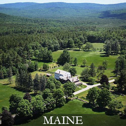 SALE.MAINE