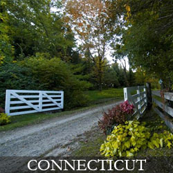 SOLD.CT