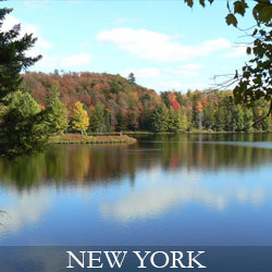 SOLD.NY