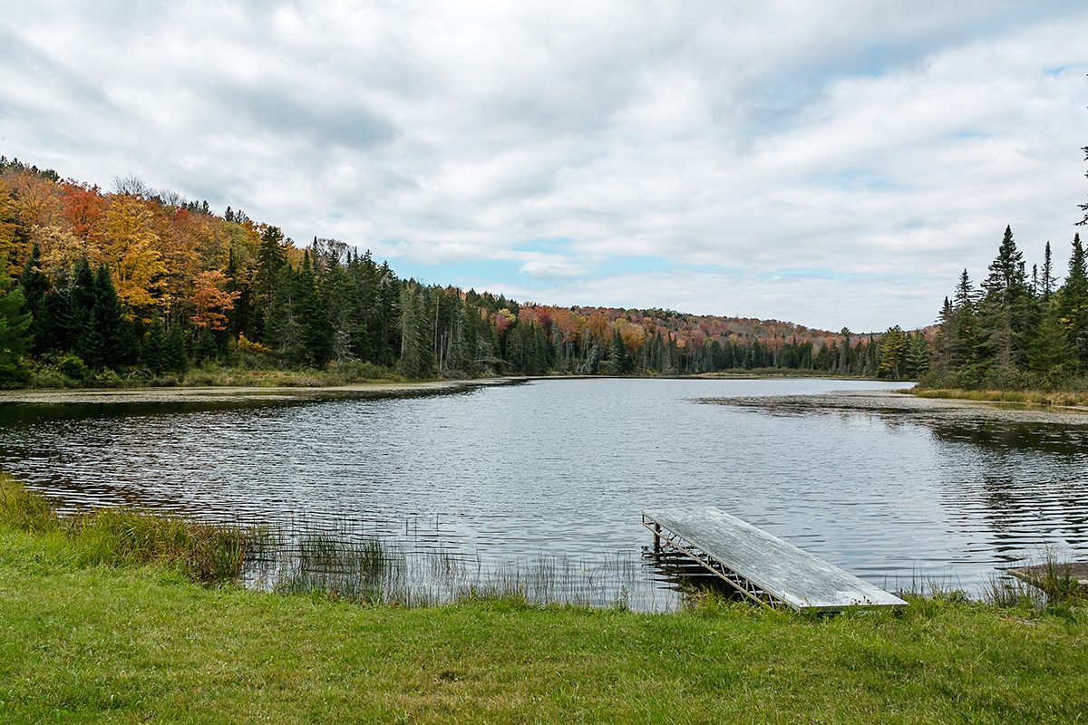 Beaver Brook Farm, Marshfield, VT