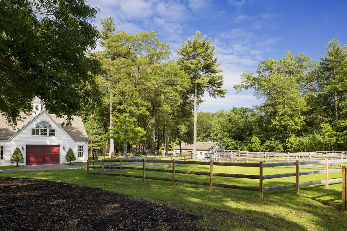 Horse Country - TopLine Farm, Boxford, MA