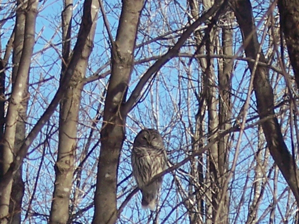 Image: Stewardship, Beaver Brook Farm