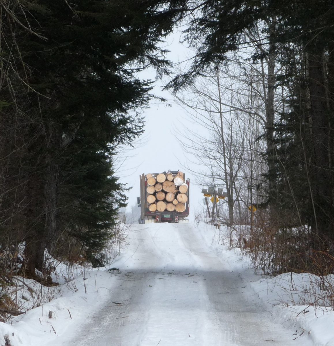 Image: Stewardship, Beaver Brook Farm