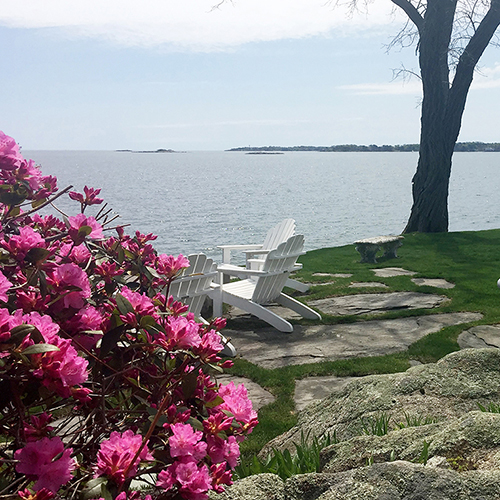 North Shore Spring Image: Curtis Point