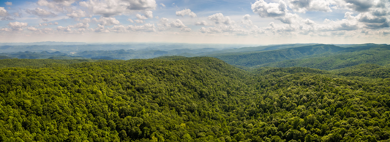 Conservation: Straight Fork, Scott Co VA - Aerial