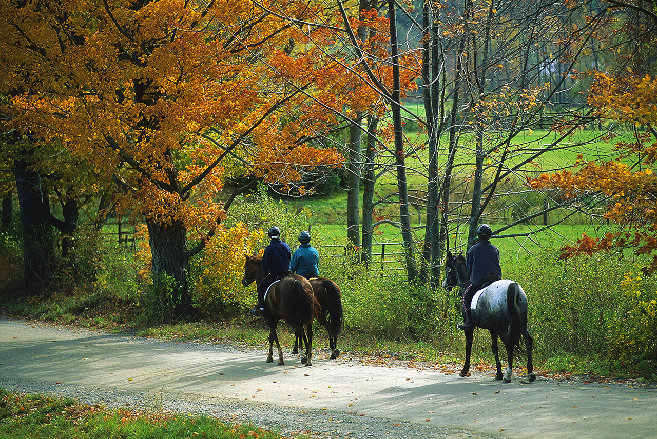 Fall people horseback riding in Ascutney, Vermont.