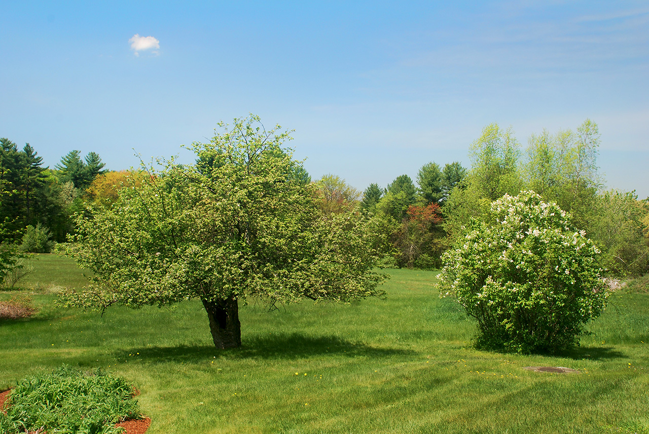 Freedom Farm, Bolton, MA2009