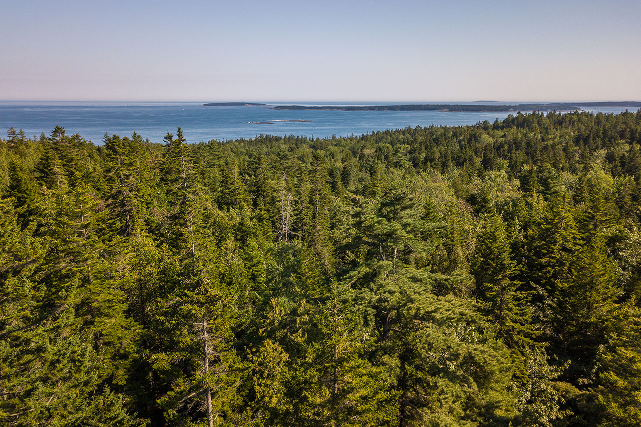 land offerings: ME1402_15_Cedar2