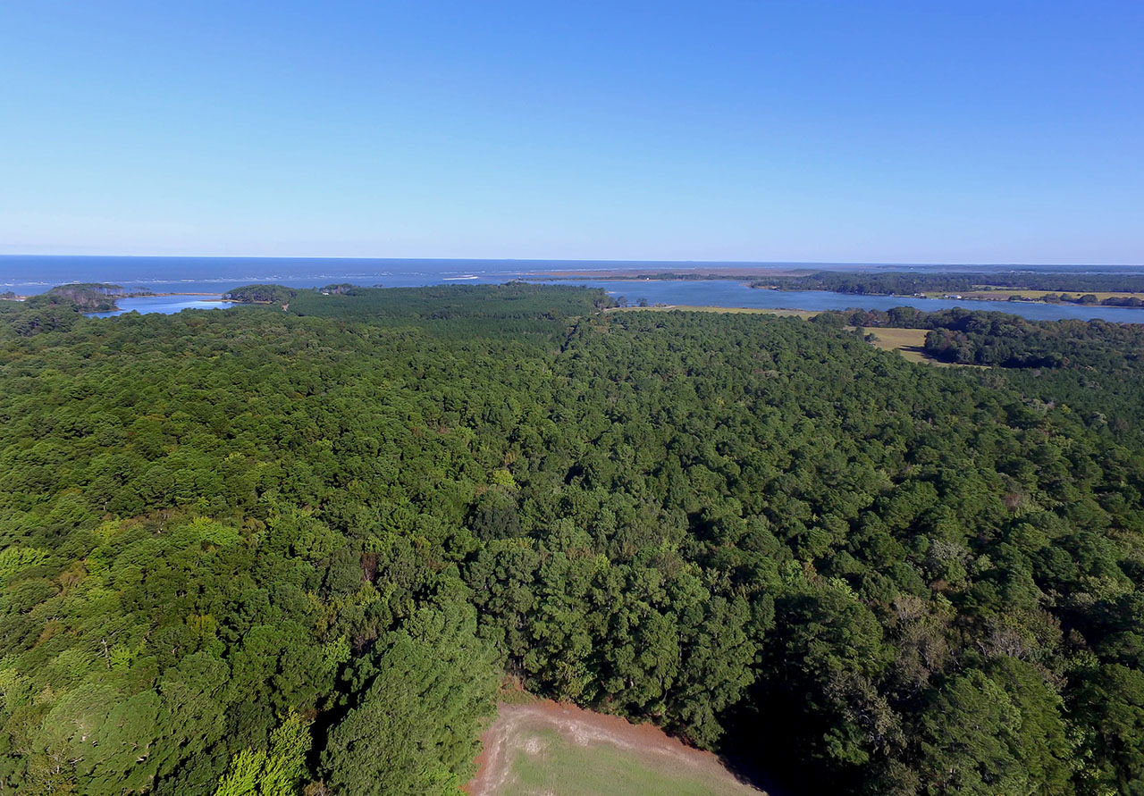 outstanding conservation value: vineland on the chesapeake