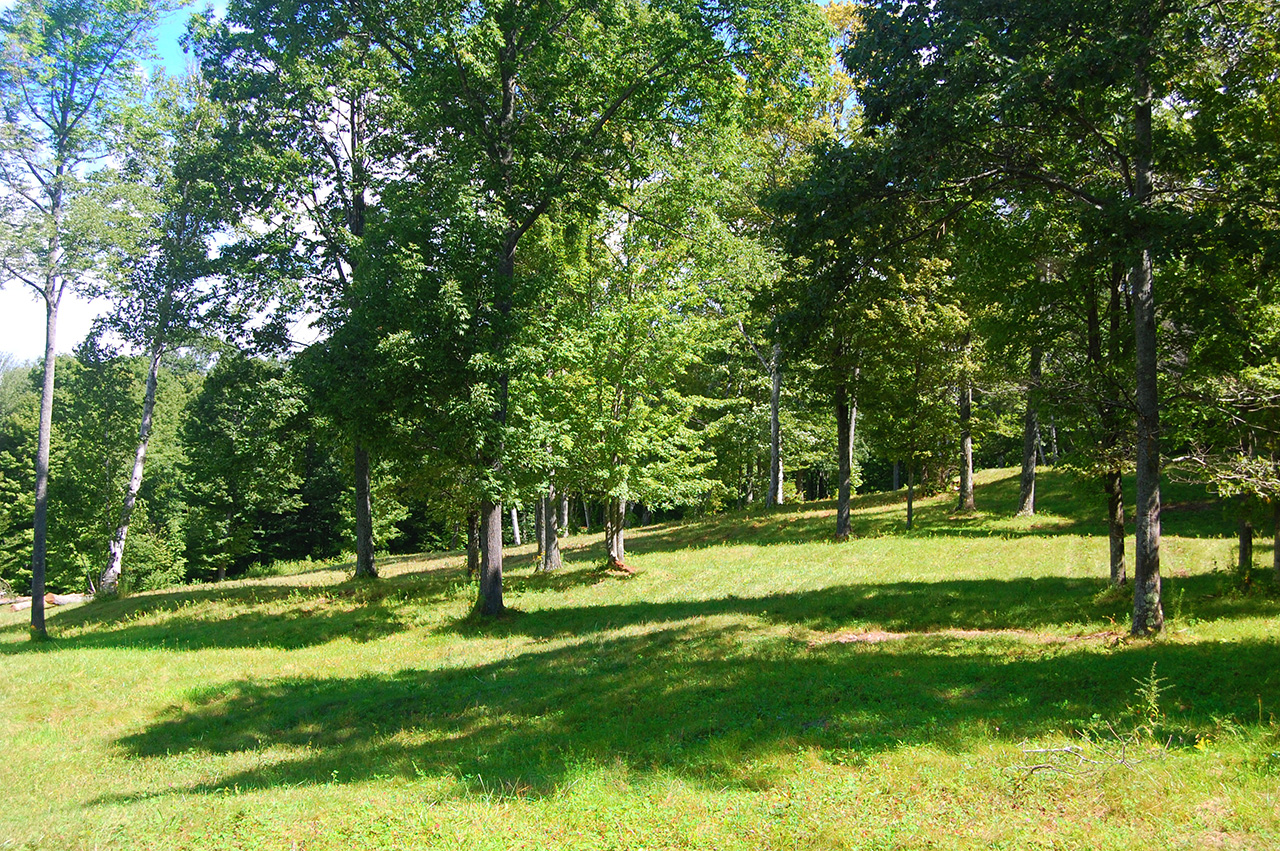 land offering: VT0809-12_CC