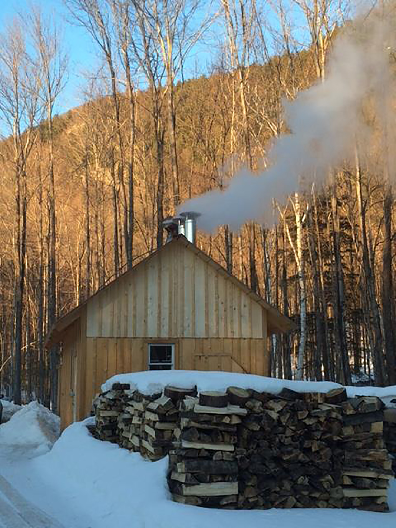 maple sugaring: sugarhouse