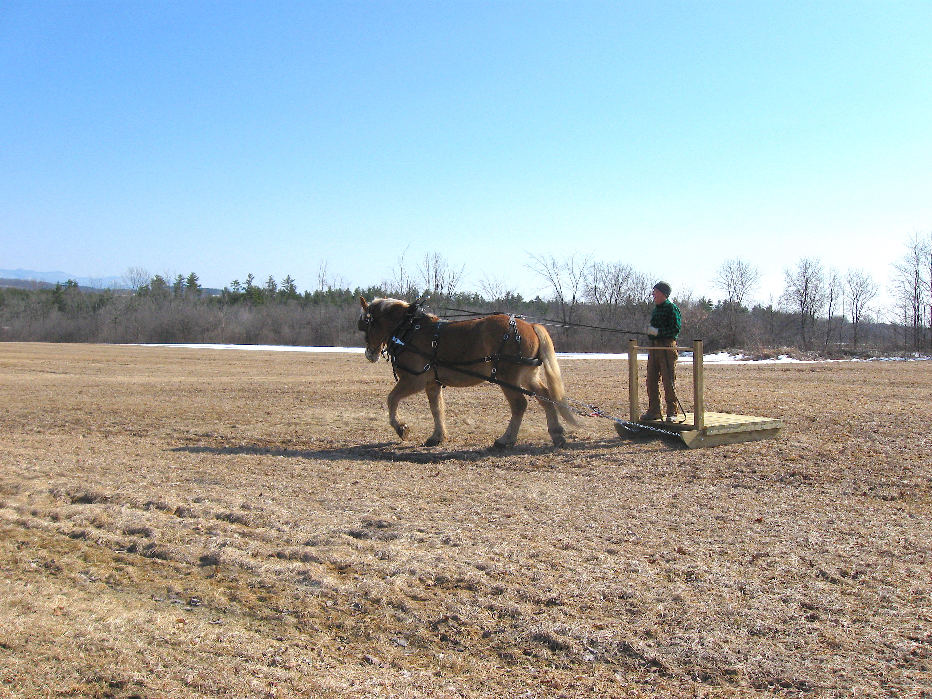Hunting Upland Game in Vermont: And Other Notes From Twin View Farm