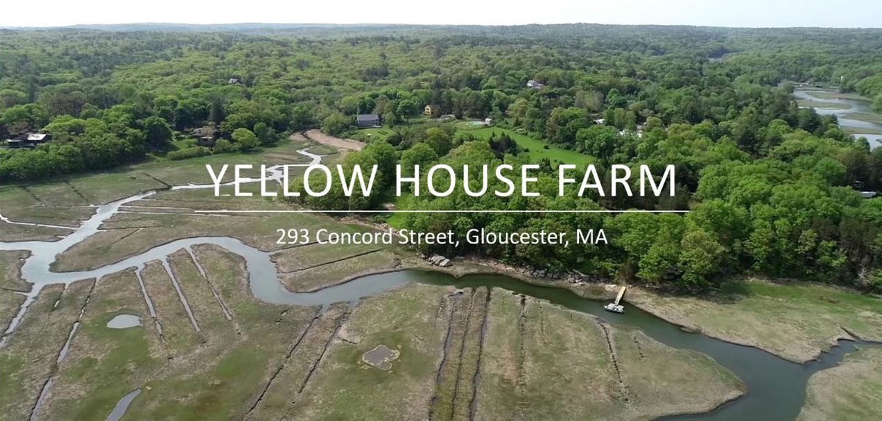 North Shore Coastal Tour. YellowHouseFarm