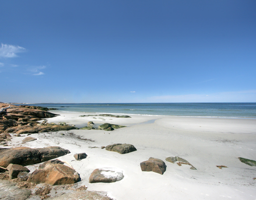 Wingaersheek Beach Gloucester
