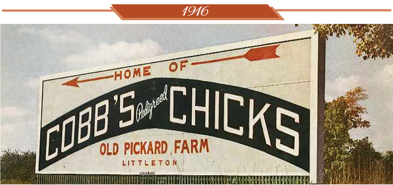 1916 Cobbs Chicks