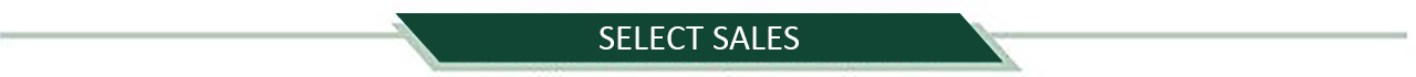 SelectSales