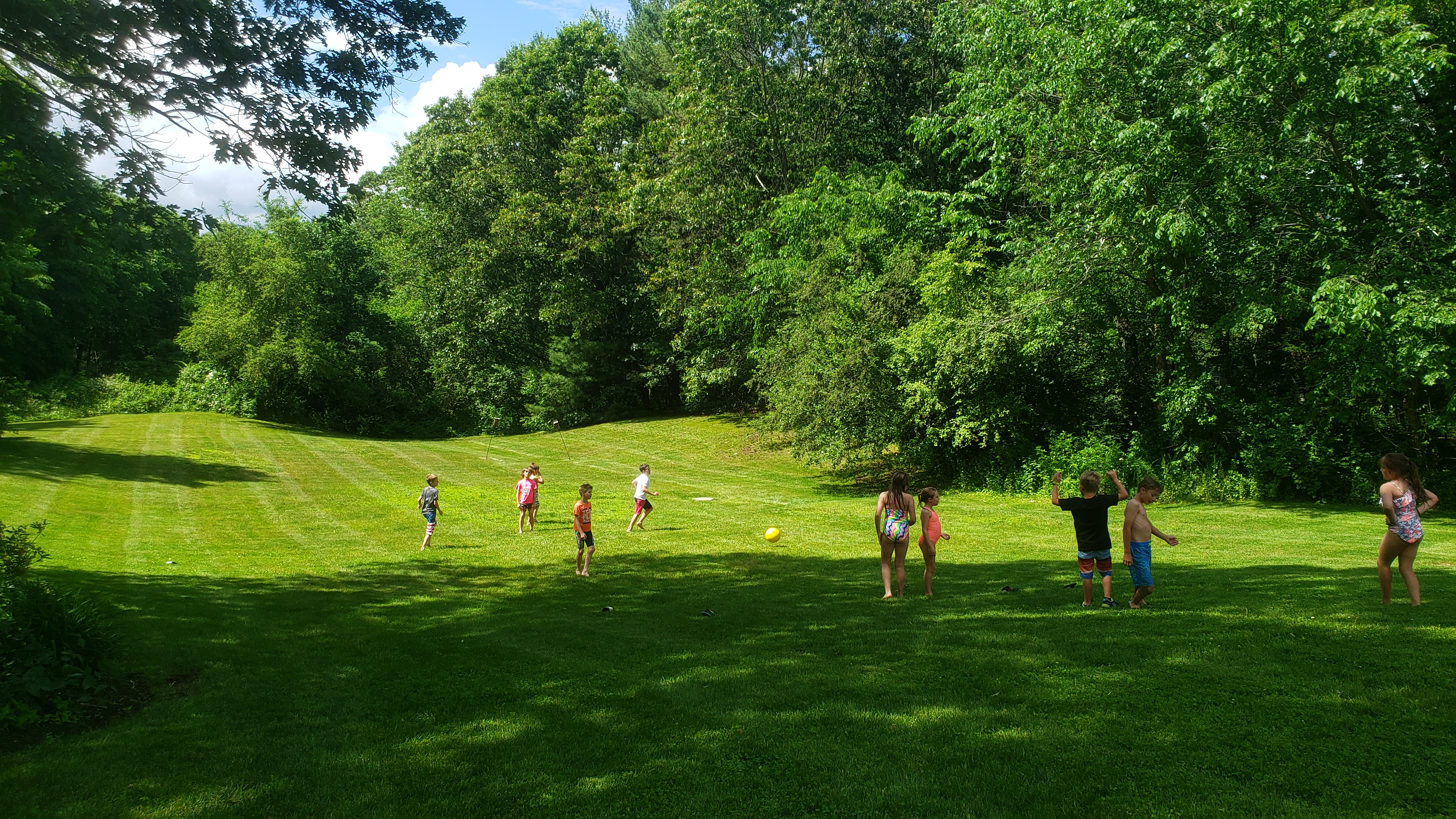 Concord - Kickball in Backyard