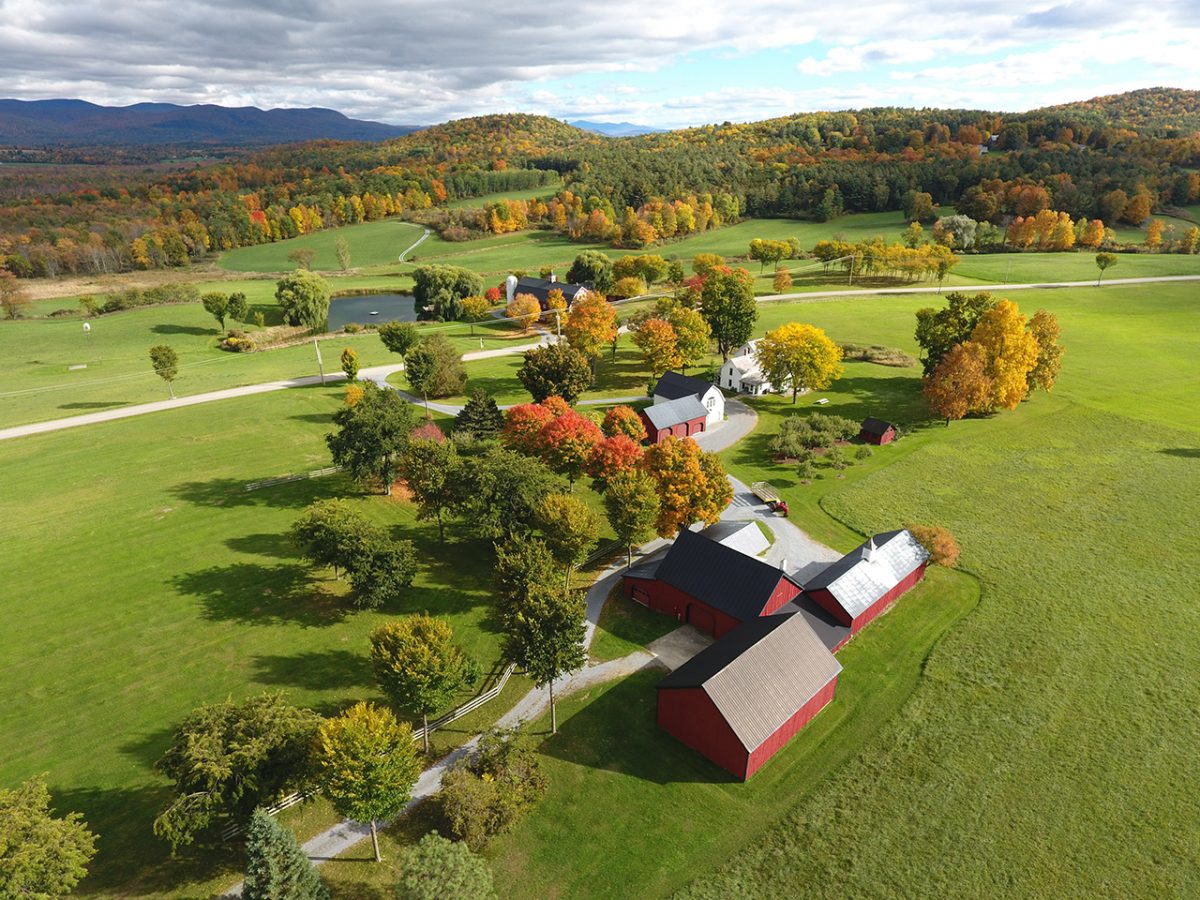 urban rural